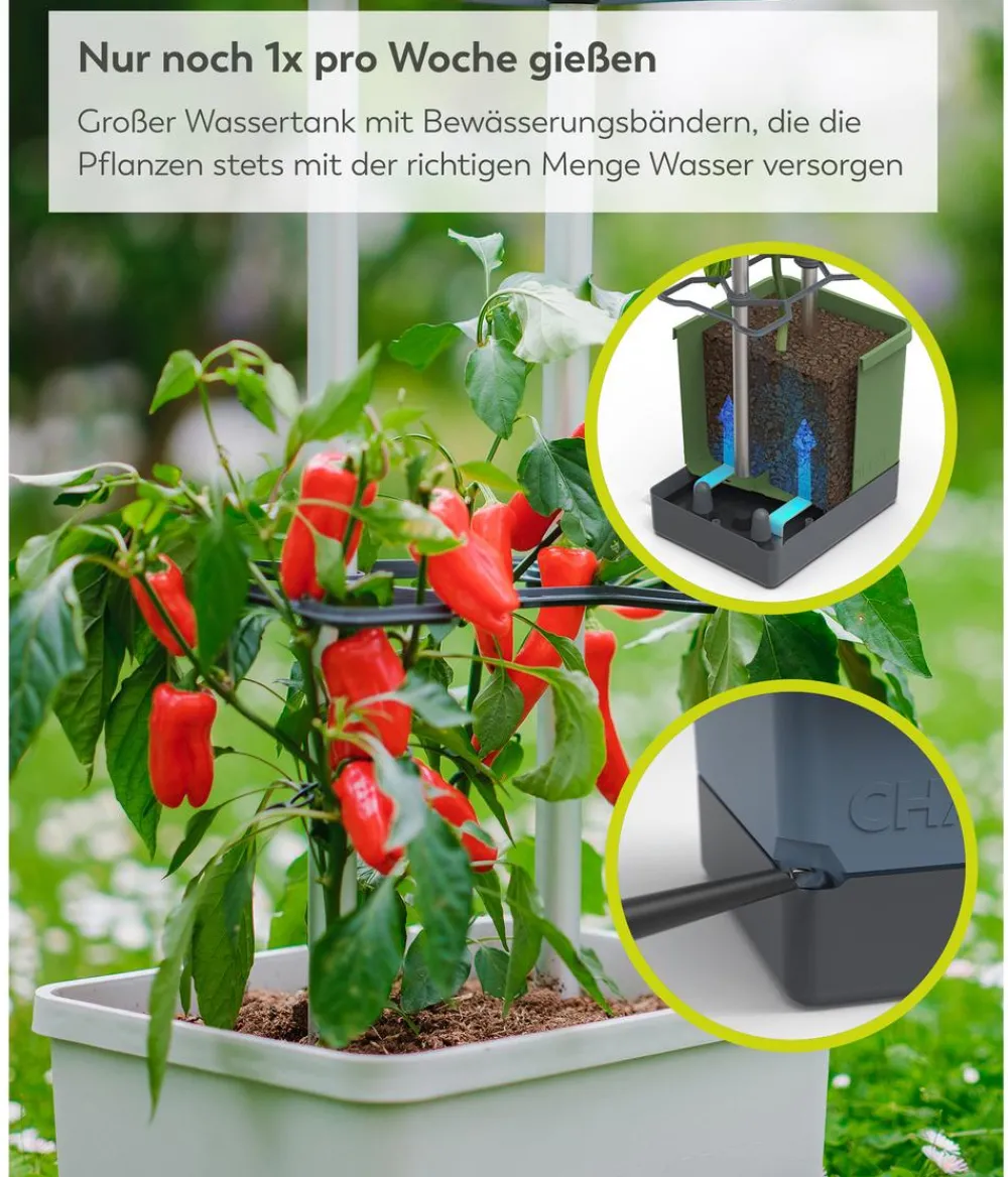 GUSTA GARDEN Chili-Pflanztopf Charly Chili XL, ca. B34,7/H138/T28,1 cm Hellgrau Clearance