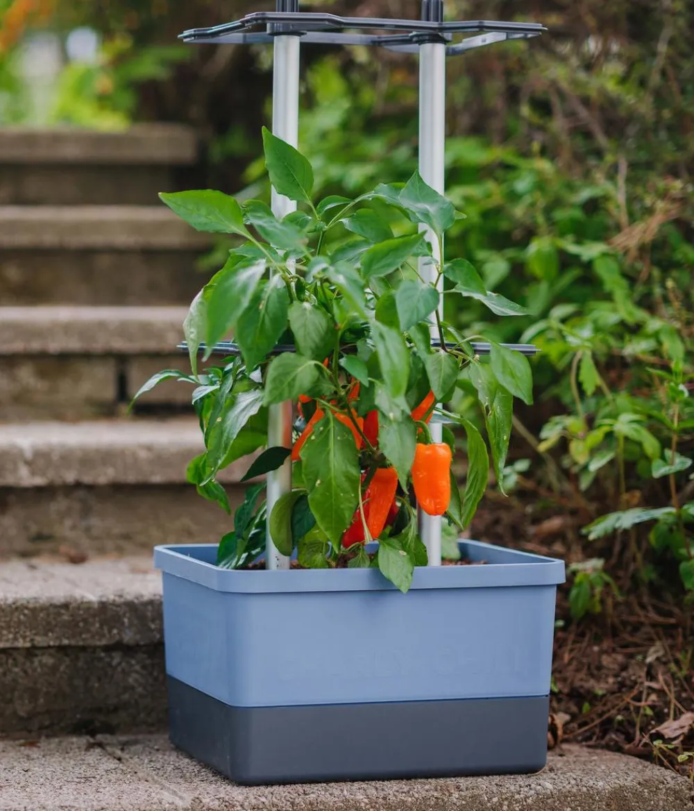 GUSTA GARDEN Pflanzkübel & Blumenkästen|Hochbeete & Frühbeete > Chili-Pflanztopf Charly Chili, ca. B35/H69/T28 cm