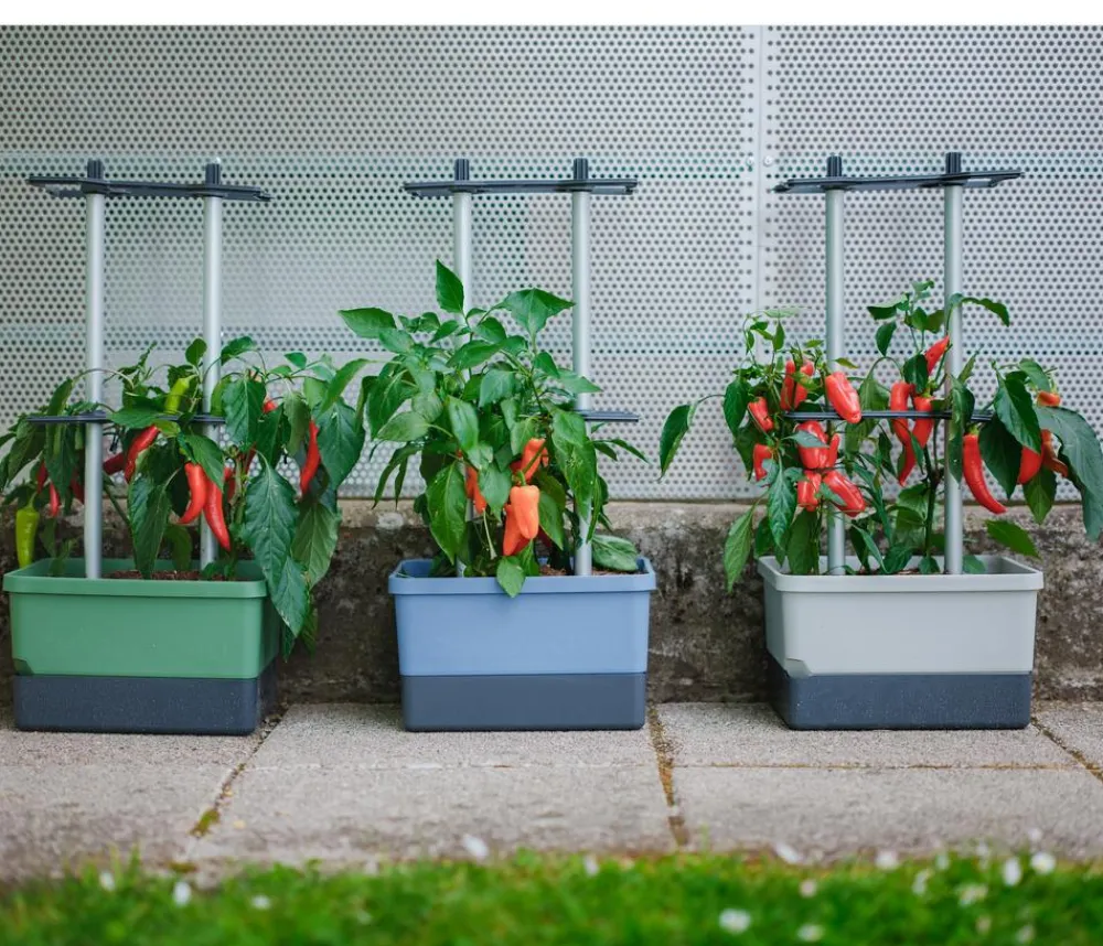 GUSTA GARDEN Pflanzkübel & Blumenkästen|Hochbeete & Frühbeete > Chili-Pflanztopf Charly Chili, ca. B35/H69/T28 cm