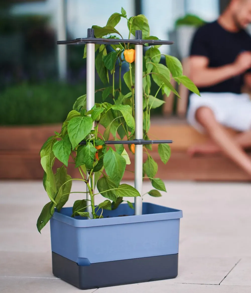 GUSTA GARDEN Pflanzkübel & Blumenkästen|Hochbeete & Frühbeete > Chili-Pflanztopf Charly Chili, ca. B35/H69/T28 cm
