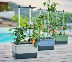GUSTA GARDEN Pflanzkübel & Blumenkästen|Hochbeete & Frühbeete > Chili-Pflanztopf Charly Chili, ca. B35/H69/T28 cm