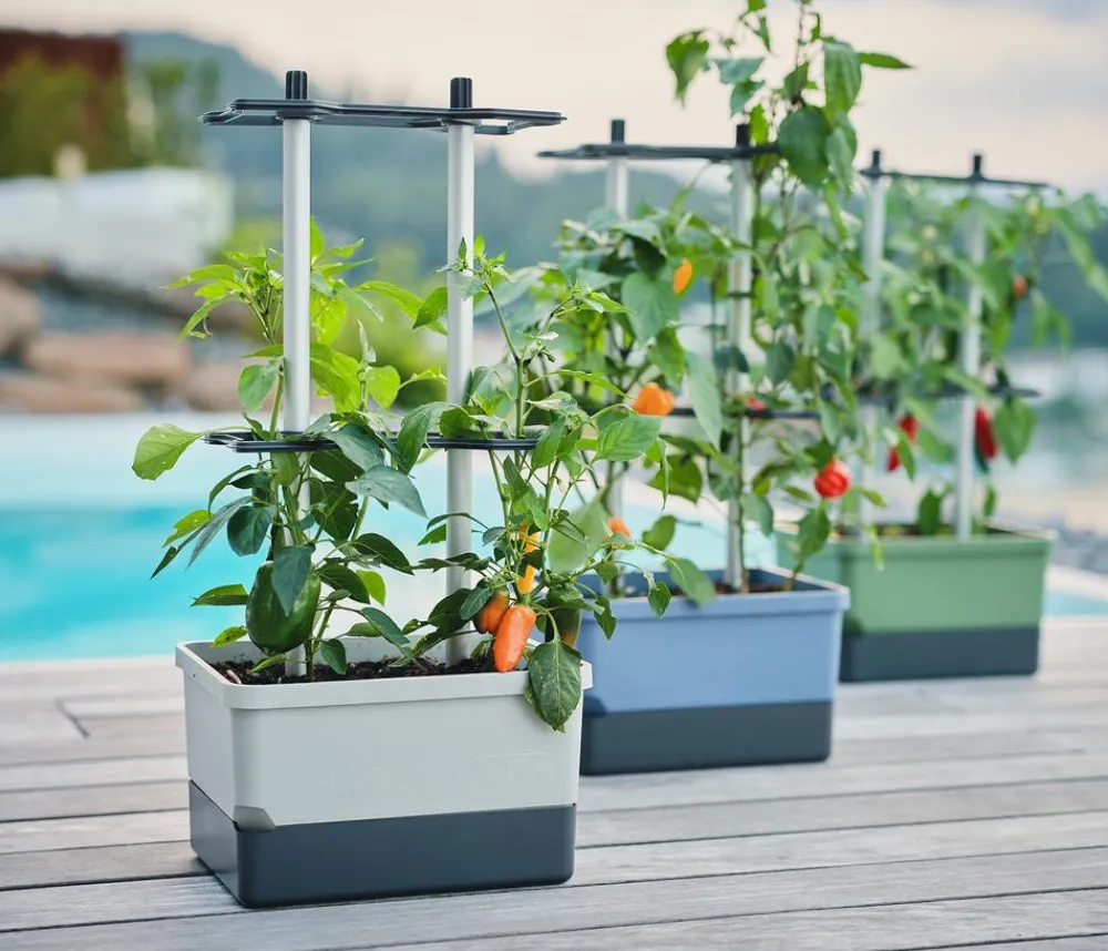 GUSTA GARDEN Pflanzkübel & Blumenkästen|Hochbeete & Frühbeete > Chili-Pflanztopf Charly Chili, ca. B35/H69/T28 cm