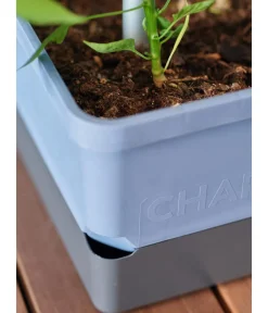GUSTA GARDEN Pflanzkübel & Blumenkästen|Hochbeete & Frühbeete > Chili-Pflanztopf Charly Chili, ca. B35/H69/T28 cm