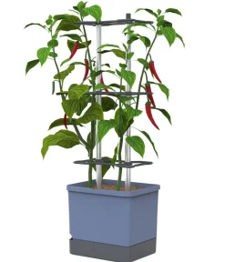 GUSTA GARDEN Pflanzkübel & Blumenkästen|Hochbeete & Frühbeete > Chili-Pflanztopf Charly Chili XL, ca. B34,7/H138/T28,1 cm