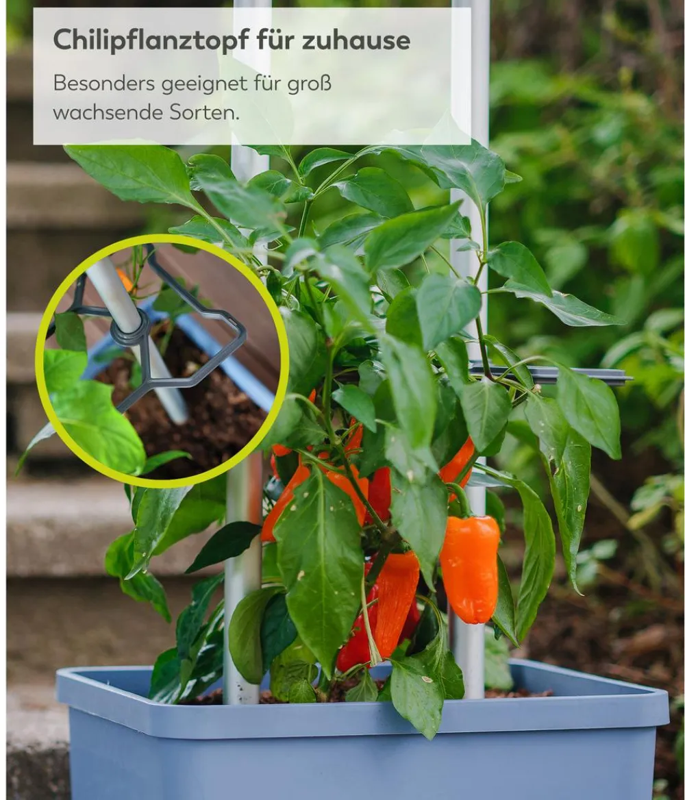 GUSTA GARDEN Pflanzkübel & Blumenkästen|Hochbeete & Frühbeete > Chili-Pflanztopf Charly Chili XL, ca. B34,7/H138/T28,1 cm