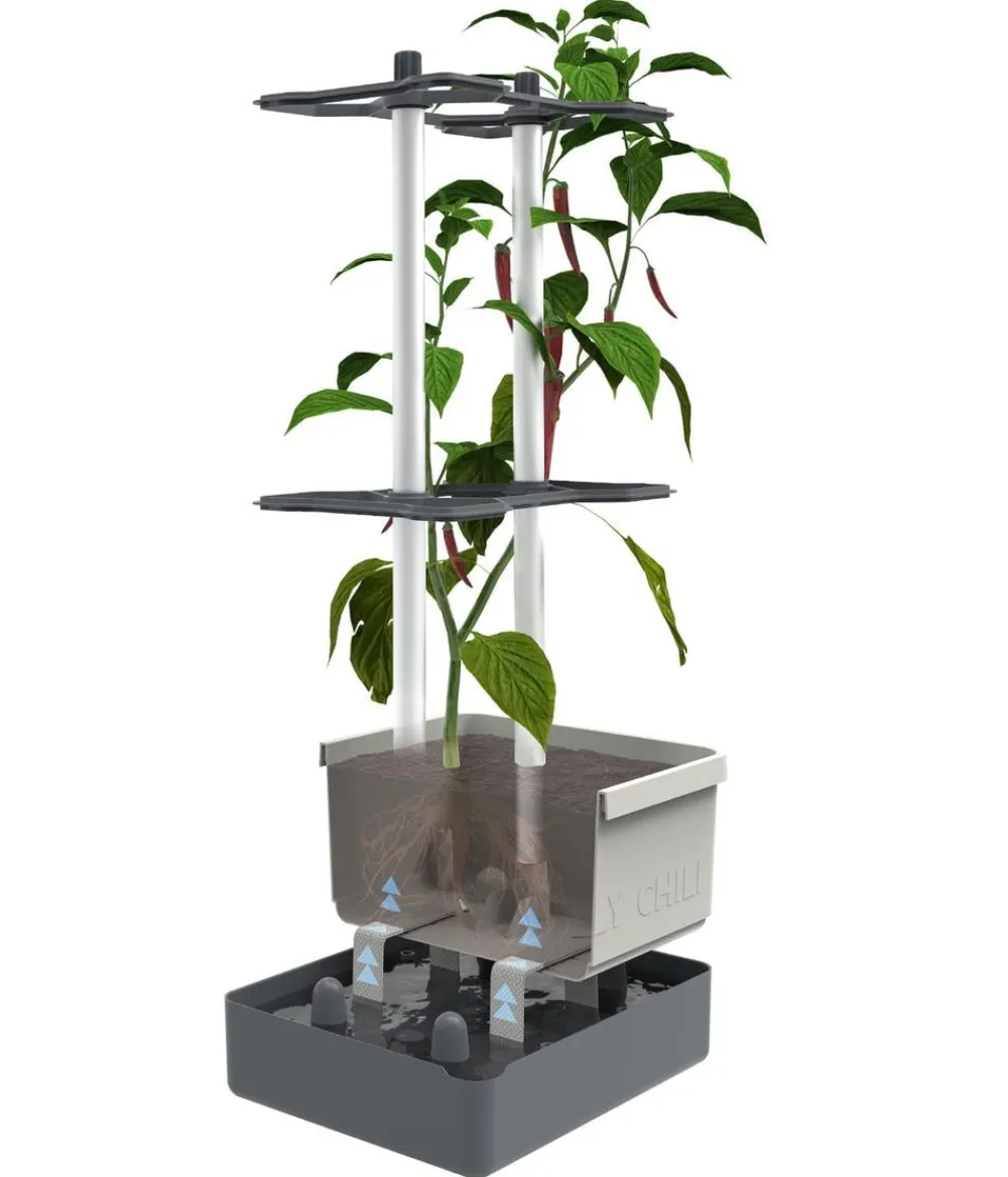 GUSTA GARDEN Chili-Pflanztopf Charly Chili, ca. B35/H69/T28 cm Dunkelgrün Clearance