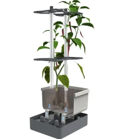 GUSTA GARDEN Pflanzkübel & Blumenkästen|Hochbeete & Frühbeete - Chili-Pflanztopf Charly Chili, ca. B35/H69/T28 cm Hellgrau