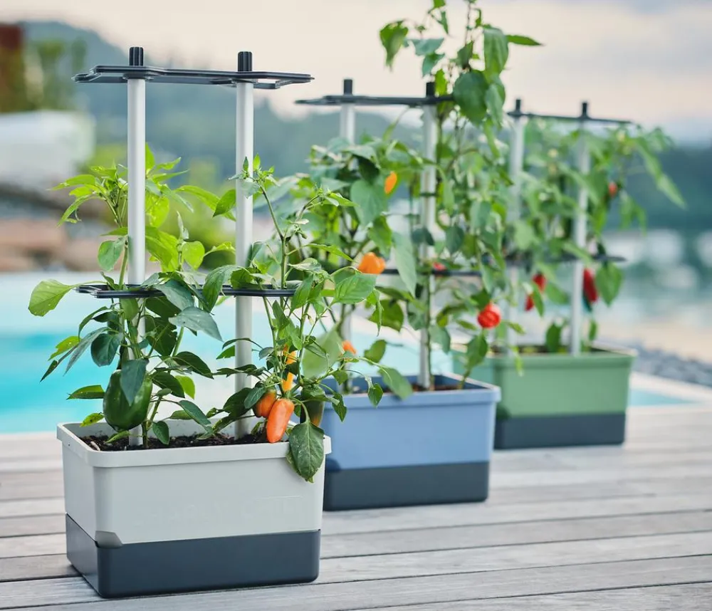 GUSTA GARDEN Pflanzkübel & Blumenkästen|Hochbeete & Frühbeete - Chili-Pflanztopf Charly Chili, ca. B35/H69/T28 cm Hellgrau