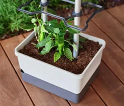 GUSTA GARDEN Pflanzkübel & Blumenkästen|Hochbeete & Frühbeete - Chili-Pflanztopf Charly Chili, ca. B35/H69/T28 cm Hellgrau