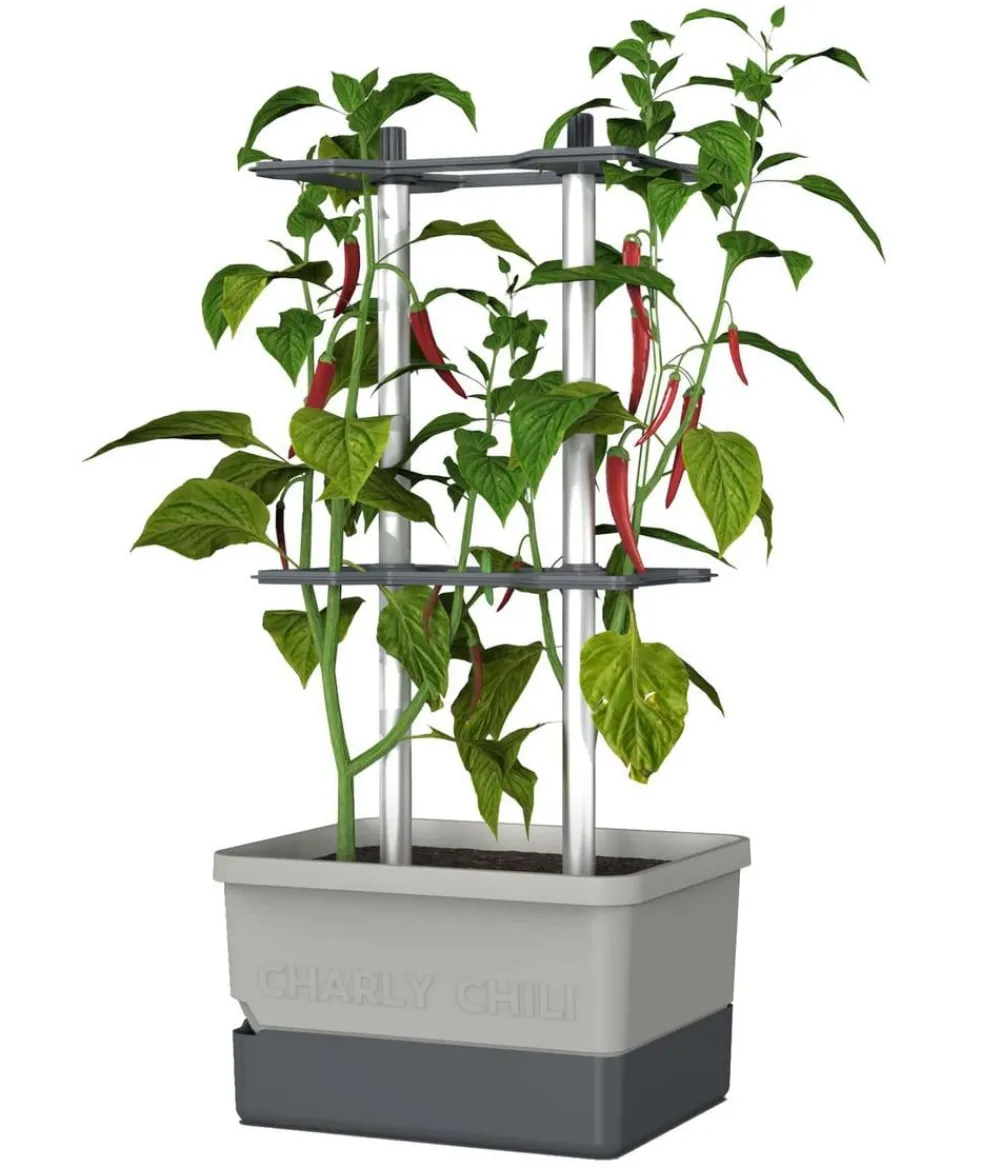 GUSTA GARDEN Pflanzkübel & Blumenkästen|Hochbeete & Frühbeete - Chili-Pflanztopf Charly Chili, ca. B35/H69/T28 cm Hellgrau