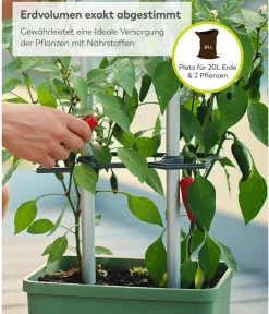 GUSTA GARDEN Chili-Pflanztopf Charly Chili XL, ca. B34,7/H138/T28,1 cm Dunkelgrün Best