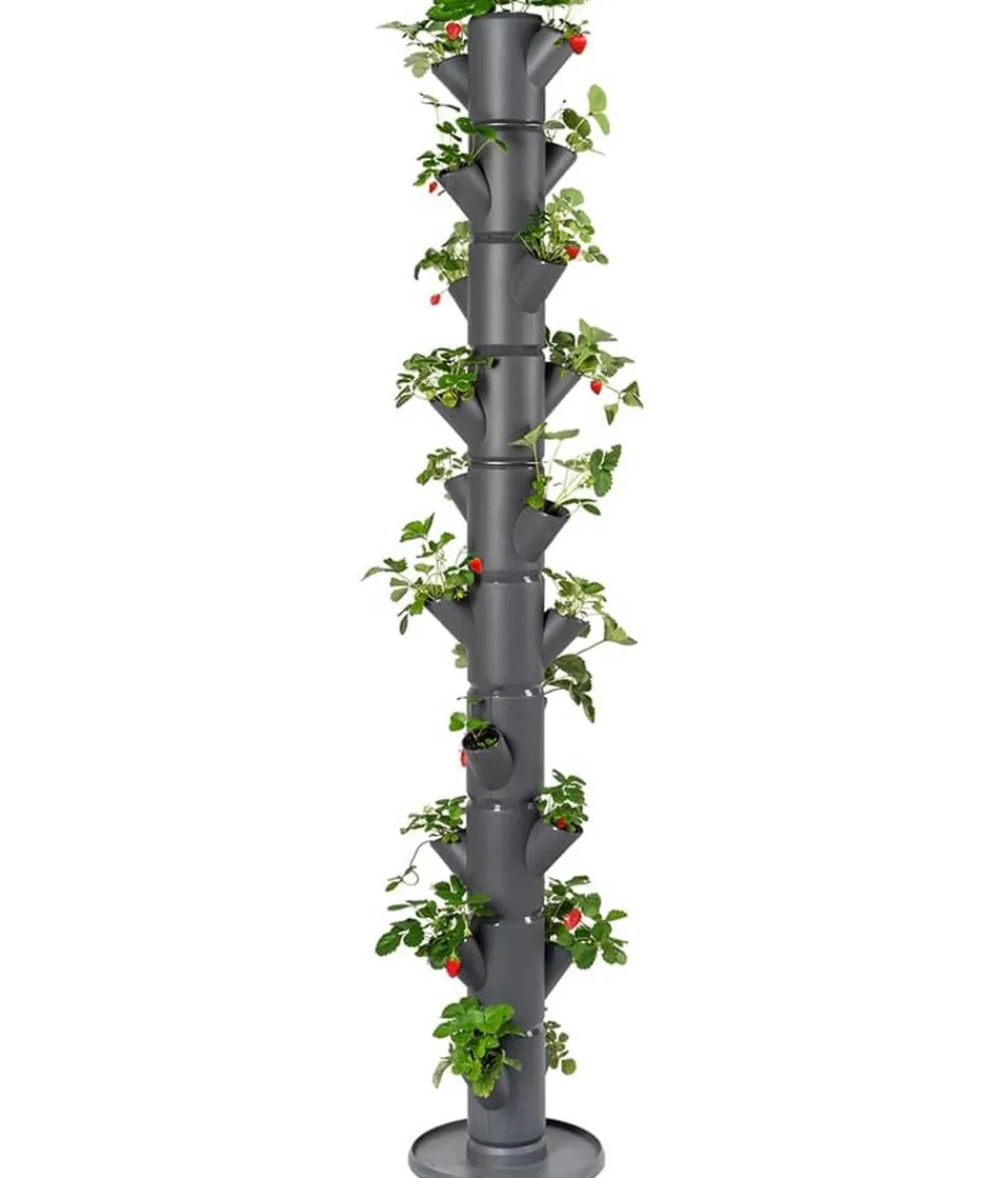 GUSTA GARDEN Hochbeete & Frühbeete - Erdbeerbaum Sissi Strawberry Infinity, ca. B32/H185/T27 cm Dunkelgrau