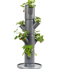 GUSTA GARDEN Hochbeete & Frühbeete > Erdbeerbaum Sissi Strawberry Starter, ca. B32/H77/T27 cm