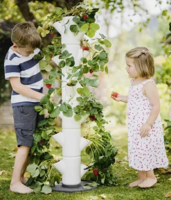 GUSTA GARDEN Hochbeete & Frühbeete > Erdbeerbaum Sissi Strawberry Classic, ca. B32/H113/T27 cm
