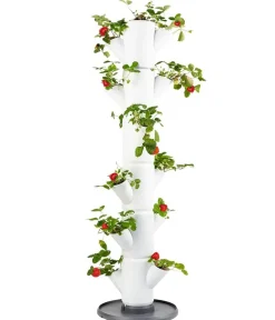 GUSTA GARDEN Hochbeete & Frühbeete > Erdbeerbaum Sissi Strawberry Classic, ca. B32/H113/T27 cm