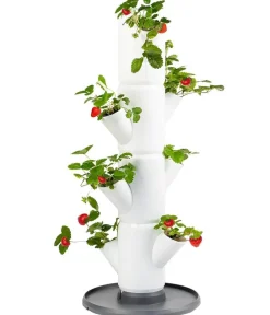 GUSTA GARDEN Hochbeete & Frühbeete - Erdbeerbaum Sissi Strawberry Starter, ca. B32/H77/T27 cm Weiß