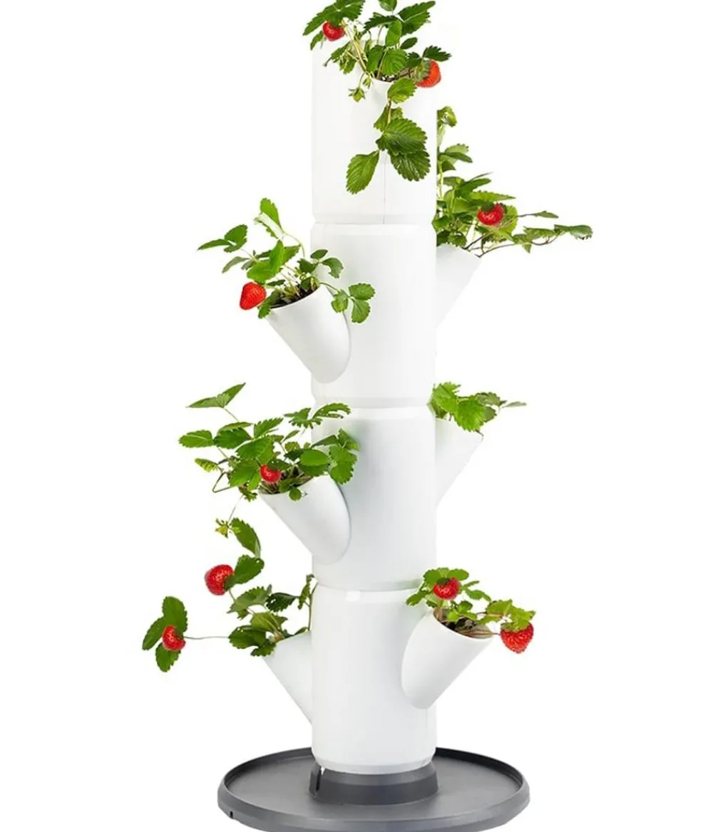 GUSTA GARDEN Hochbeete & Frühbeete - Erdbeerbaum Sissi Strawberry Starter, ca. B32/H77/T27 cm Weiß