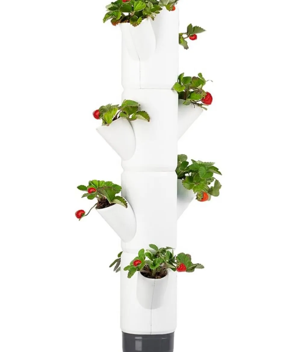 GUSTA GARDEN Hochbeete & Frühbeete > Erdbeerbaum Sissi Strawberry, hängend, ca. B27/H77/T27 cm
