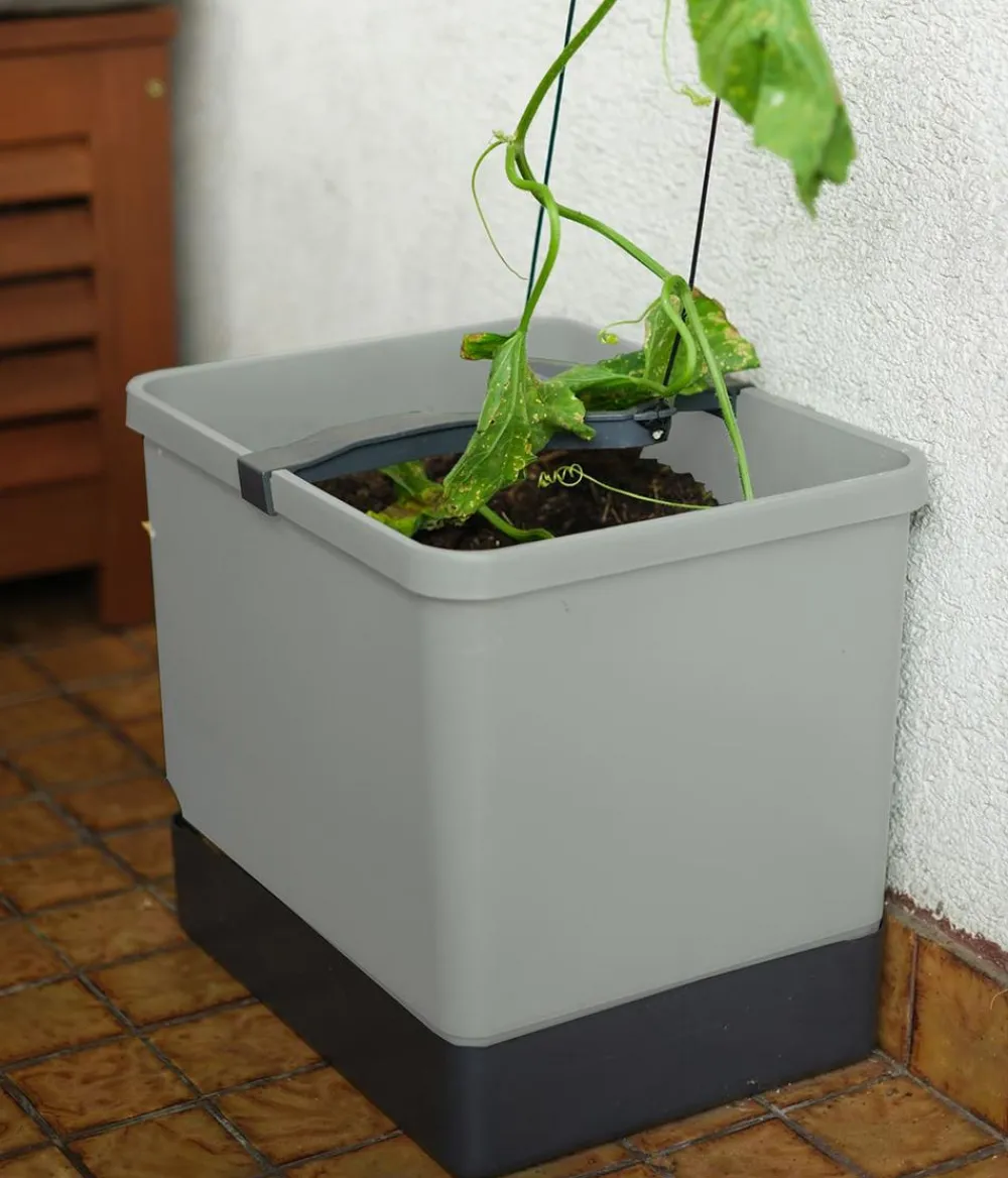 GUSTA GARDEN Blumentöpfe & Übertöpfe|Hydrosysteme > Gurken-Topf Curt Cucumber, ca. B35/H138/T28 cm