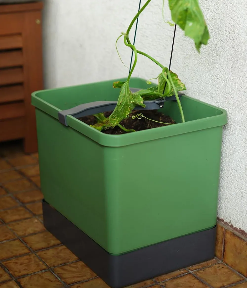 GUSTA GARDEN Blumentöpfe & Übertöpfe|Hydrosysteme - Gurken-Topf Curt Cucumber, ca. B35/H138/T28 cm Dunkelgrün