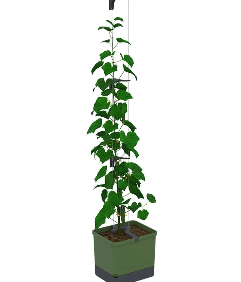 GUSTA GARDEN Blumentöpfe & Übertöpfe|Hydrosysteme - Gurken-Topf Curt Cucumber, ca. B35/H138/T28 cm Dunkelgrün