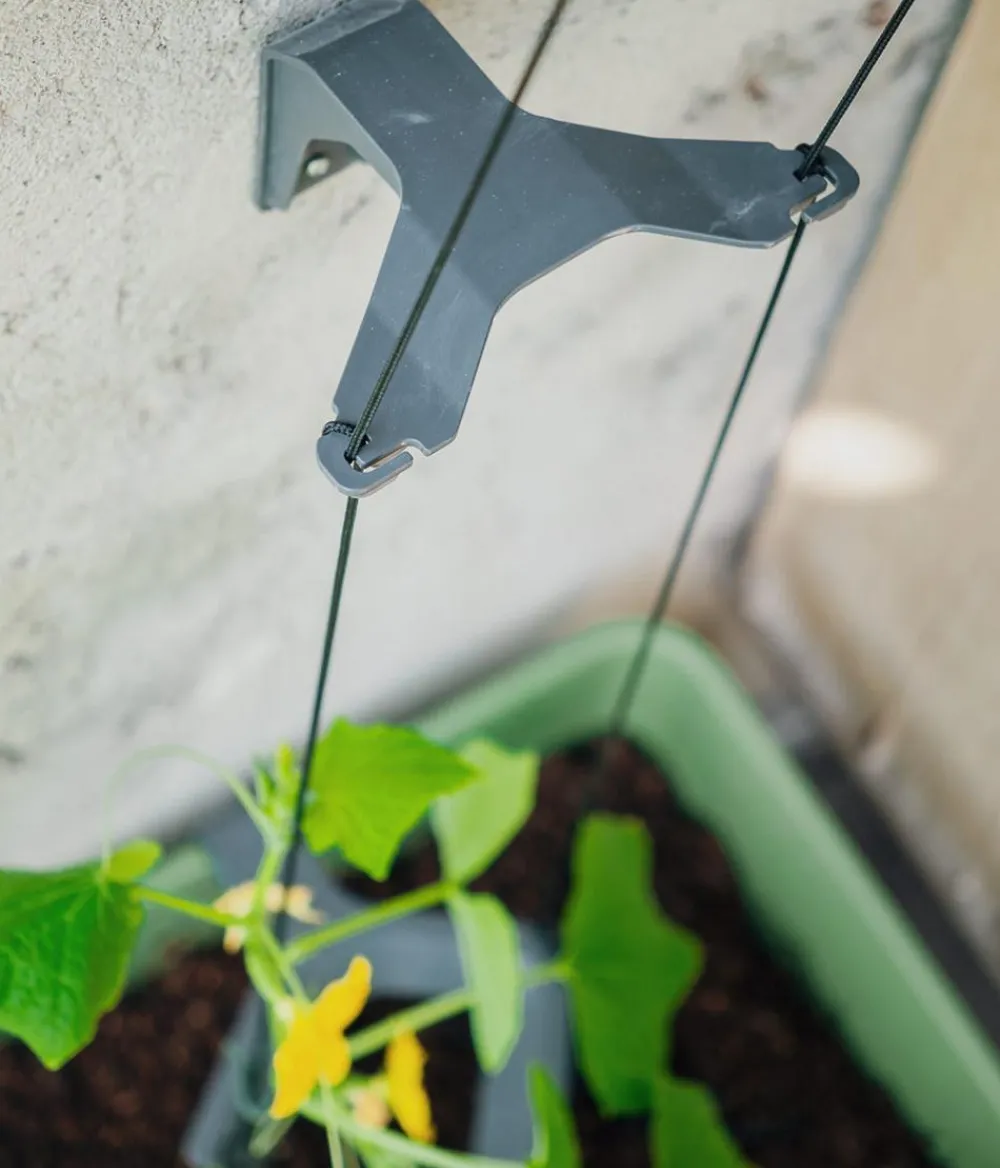 GUSTA GARDEN Blumentöpfe & Übertöpfe|Hydrosysteme - Gurken-Topf Curt Cucumber, ca. B35/H138/T28 cm Dunkelgrün