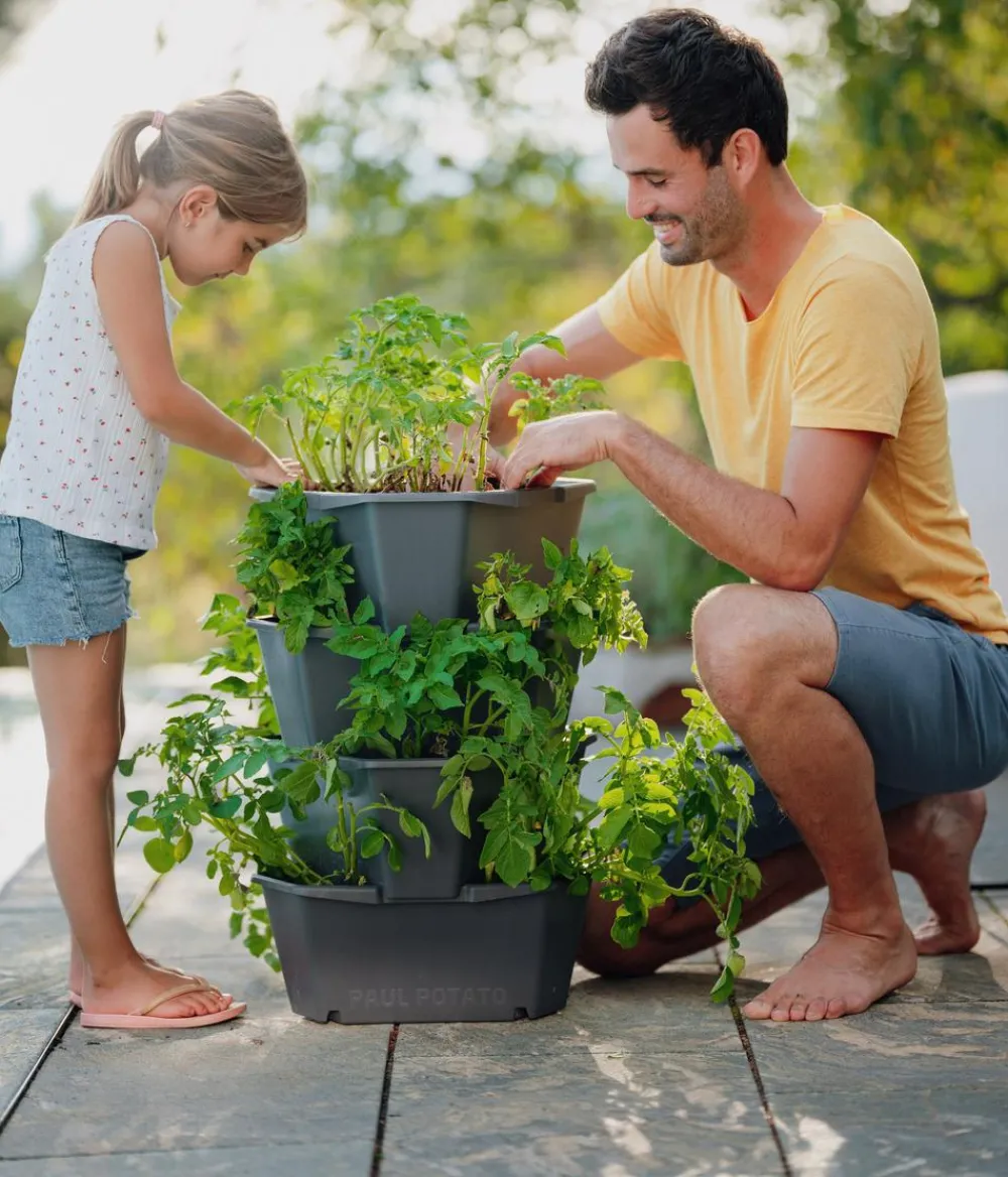 GUSTA GARDEN Kartoffelturm Paul Potato Starter, 4 Etagen, ca. B44/H65/T44 cm Dunkelgrau Best