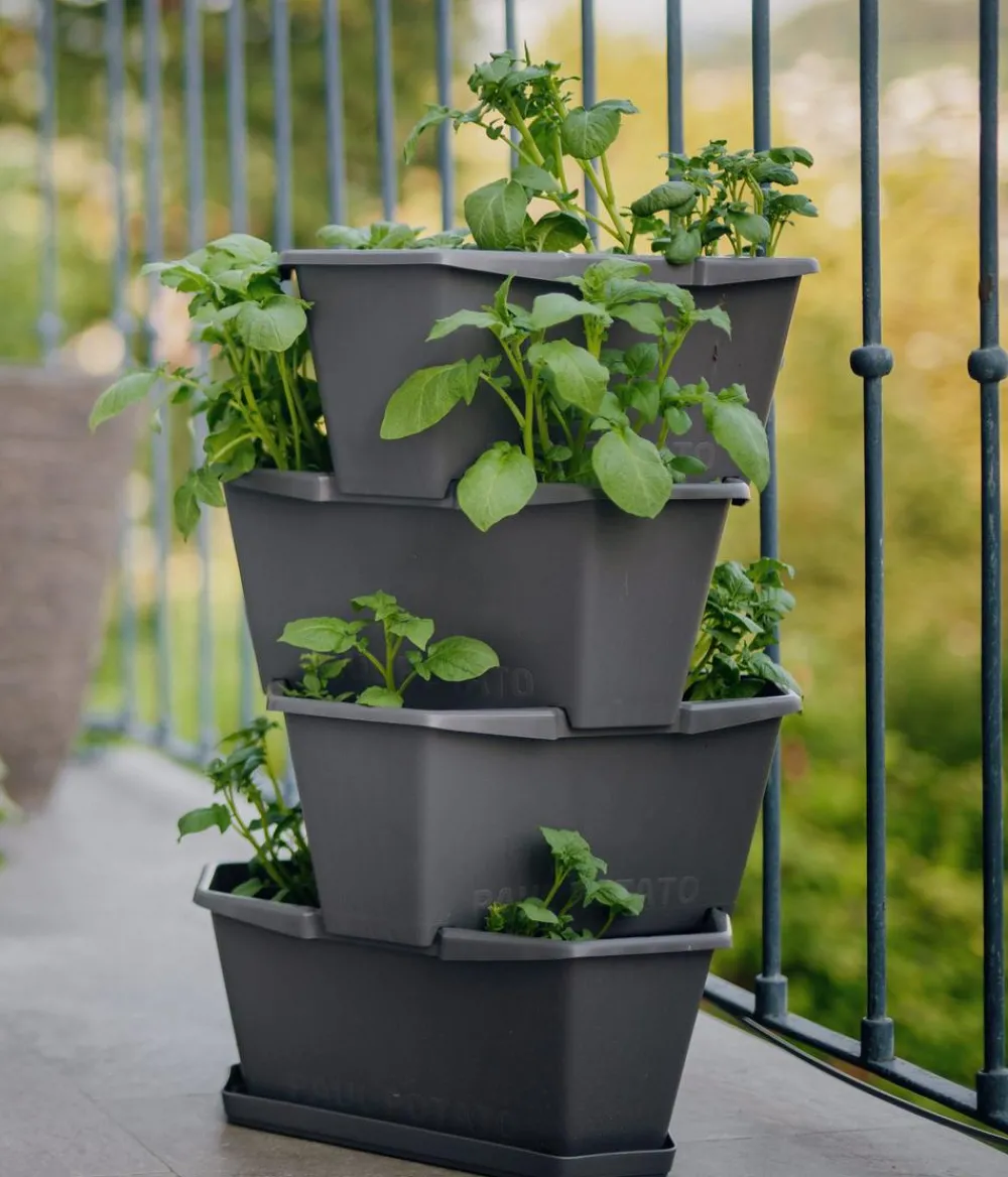 GUSTA GARDEN Kartoffelturm Paul Potato Starter, 4 Etagen, ca. B44/H65/T44 cm Dunkelgrau Best