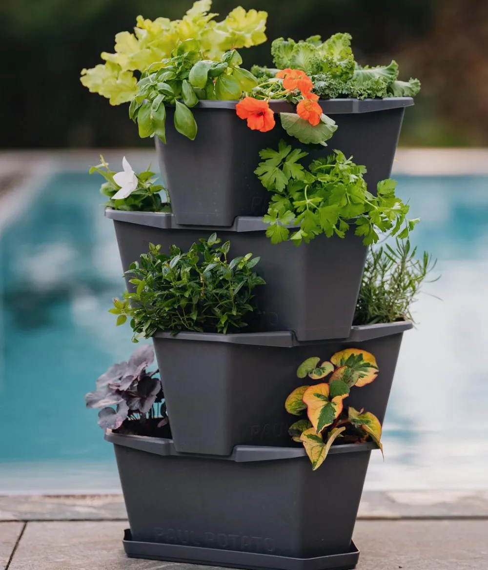 GUSTA GARDEN Kartoffelturm Paul Potato Starter, 4 Etagen, ca. B44/H65/T44 cm Dunkelgrau Best