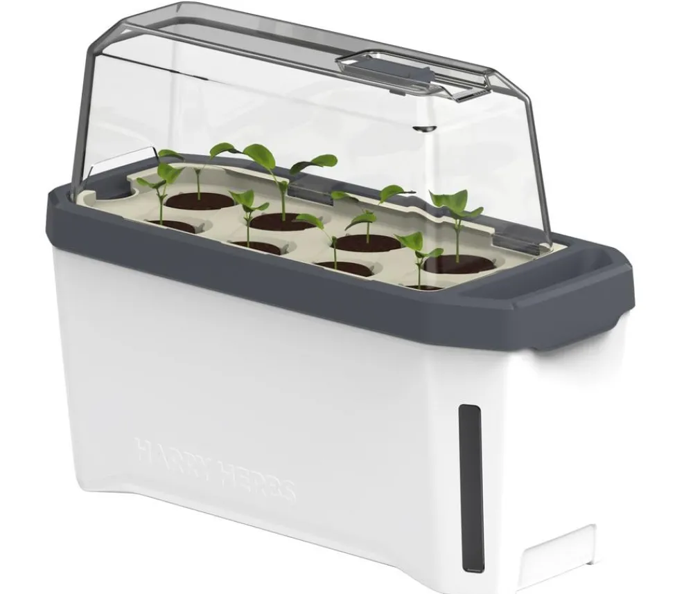 GUSTA GARDEN Hydrosysteme|Blumentöpfe & Übertöpfe > Kräutertopf Harry Herbs mit Anzuchthaube, ca. B36/H25/T15 cm