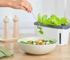 GUSTA GARDEN Hydrosysteme|Blumentöpfe & Übertöpfe > Kräutertopf Harry Herbs mit Anzuchthaube, ca. B36/H25/T15 cm