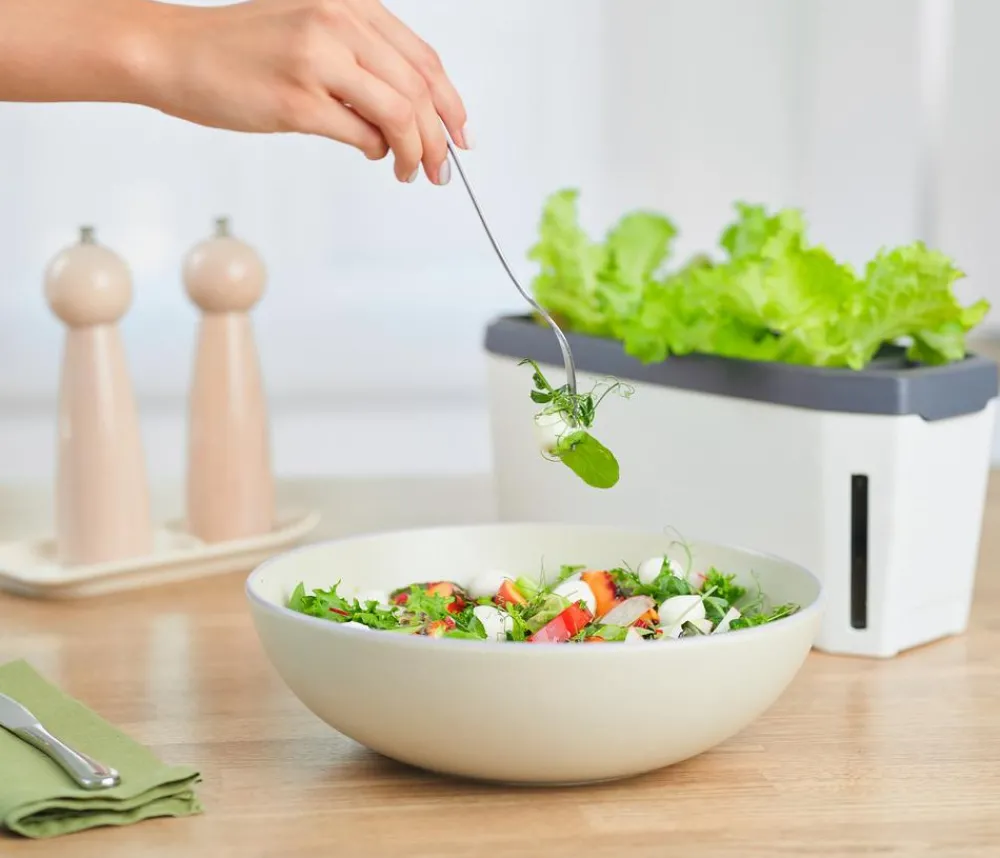 GUSTA GARDEN Hydrosysteme|Blumentöpfe & Übertöpfe > Kräutertopf Harry Herbs mit Anzuchthaube, ca. B36/H25/T15 cm