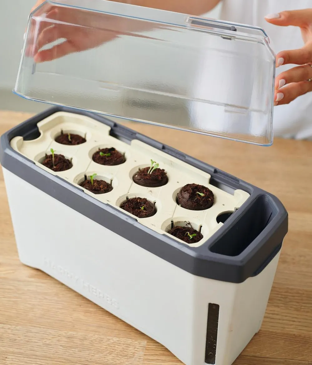 GUSTA GARDEN Hydrosysteme|Blumentöpfe & Übertöpfe > Kräutertopf Harry Herbs mit Anzuchthaube, ca. B36/H25/T15 cm