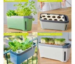 GUSTA GARDEN Hydrosysteme|Blumentöpfe & Übertöpfe > Kräutertopf Harry Herbs mit Anzuchthaube, ca. B36/H25/T15 cm