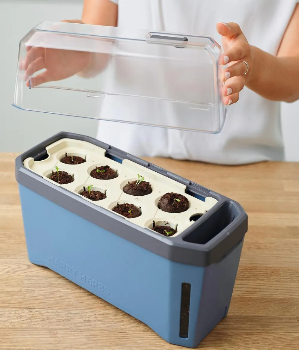 GUSTA GARDEN Hydrosysteme|Blumentöpfe & Übertöpfe > Kräutertopf Harry Herbs mit Anzuchthaube, ca. B36/H25/T15 cm