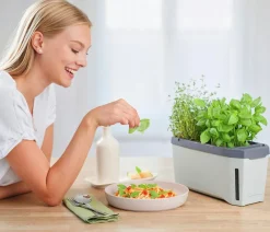 GUSTA GARDEN Hydrosysteme|Blumentöpfe & Übertöpfe > Kräutertopf Harry Herbs, ca. B36/H16/T15 cm