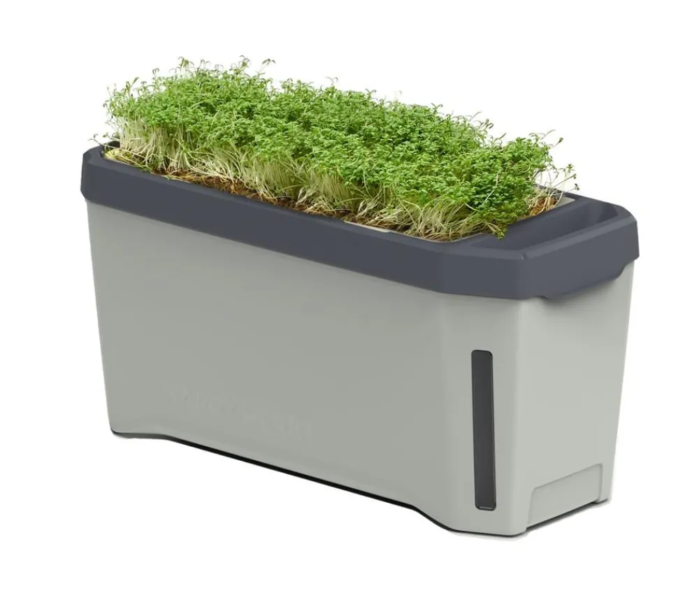 GUSTA GARDEN Hydrosysteme|Blumentöpfe & Übertöpfe > Kräutertopf Harry Herbs, ca. B36/H16/T15 cm