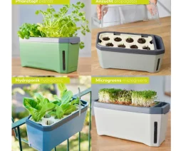 GUSTA GARDEN Hydrosysteme|Blumentöpfe & Übertöpfe > Kräutertopf Harry Herbs, ca. B36/H16/T15 cm