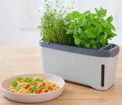 GUSTA GARDEN Hydrosysteme|Blumentöpfe & Übertöpfe > Kräutertopf Harry Herbs, ca. B36/H16/T15 cm