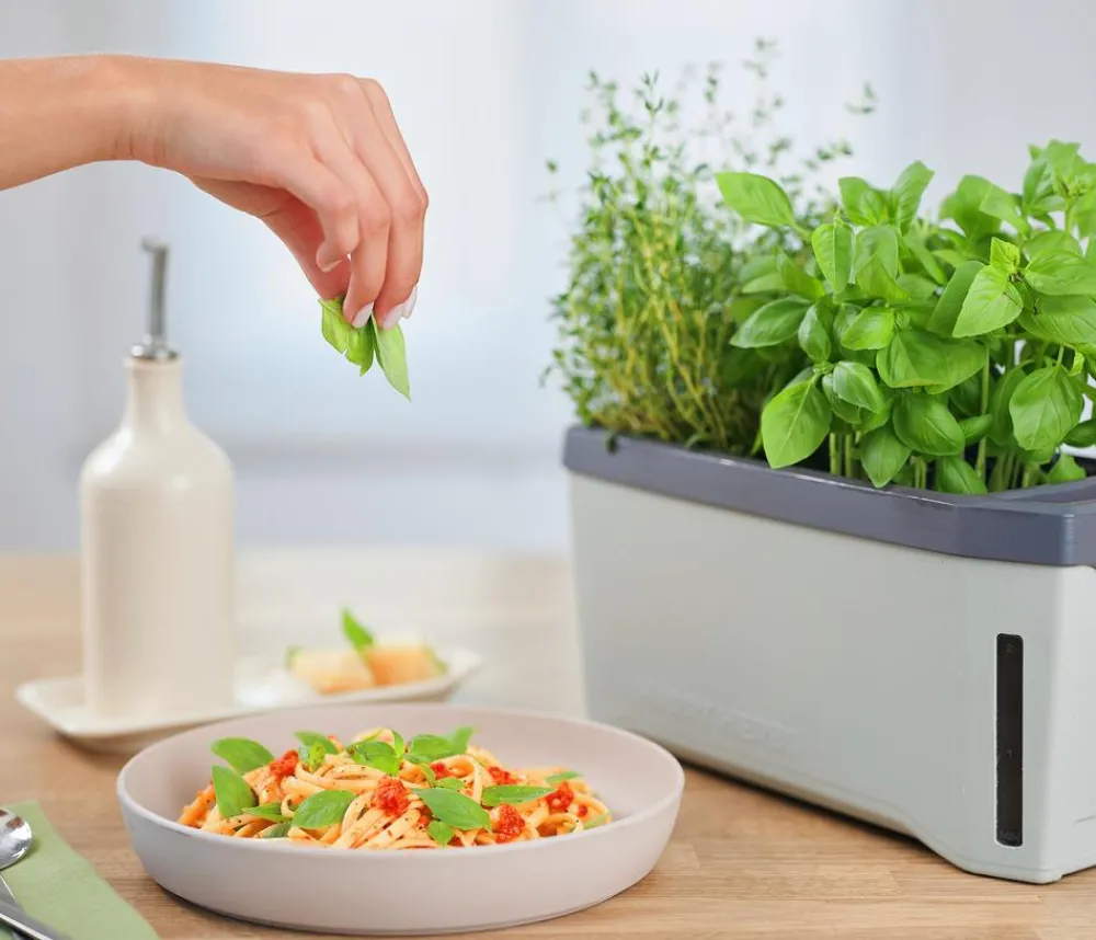 GUSTA GARDEN Hydrosysteme|Blumentöpfe & Übertöpfe > Kräutertopf Harry Herbs, ca. B36/H16/T15 cm