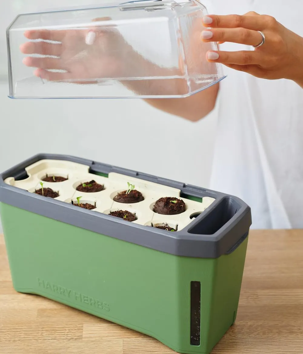 GUSTA GARDEN Kräutertopf Harry Herbs mit Anzuchthaube, ca. B36/H25/T15 cm Dunkelgrün Hot