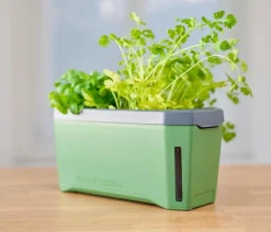 GUSTA GARDEN Kräutertopf Harry Herbs mit Anzuchthaube, ca. B36/H25/T15 cm Dunkelgrün Hot