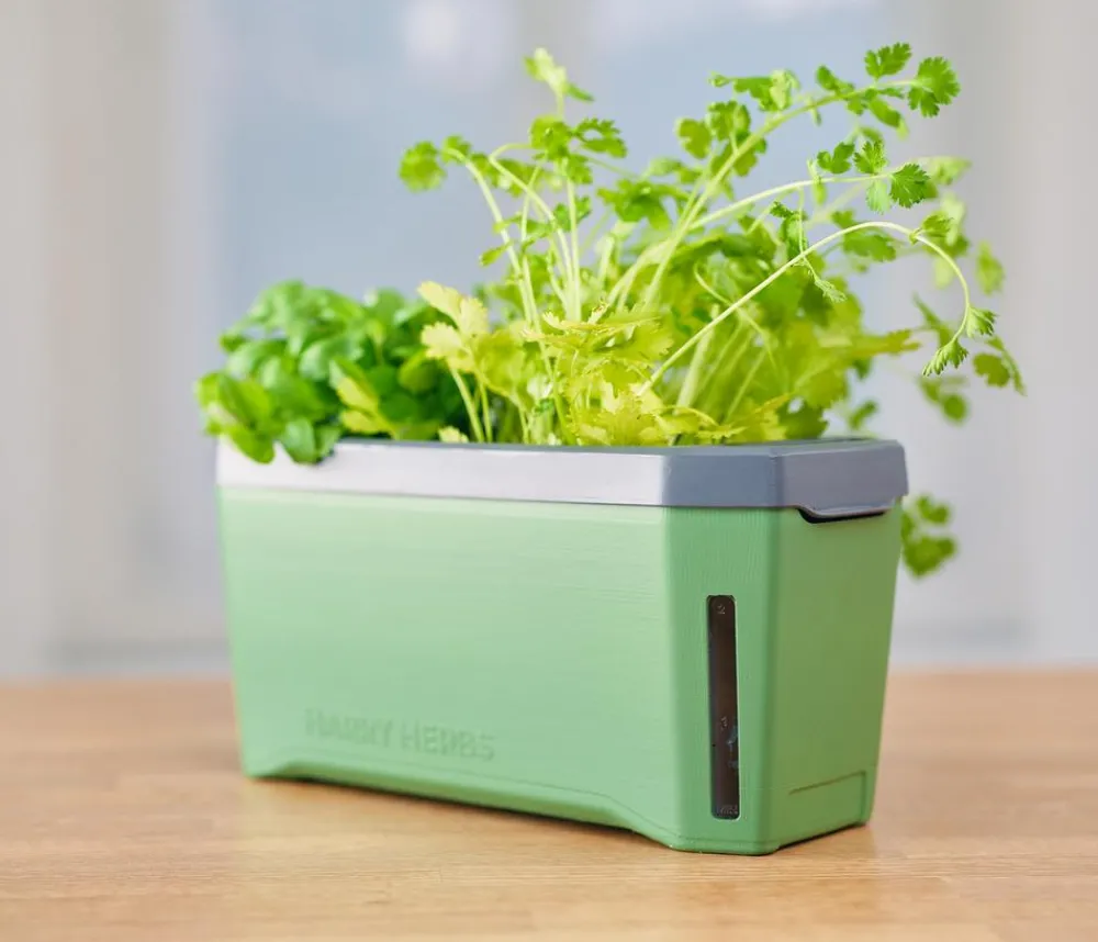 GUSTA GARDEN Kräutertopf Harry Herbs mit Anzuchthaube, ca. B36/H25/T15 cm Dunkelgrün Hot