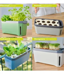 GUSTA GARDEN Kräutertopf Harry Herbs mit Anzuchthaube, ca. B36/H25/T15 cm Dunkelgrün Hot