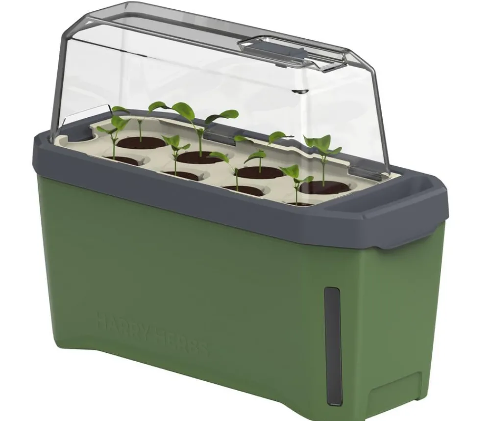 GUSTA GARDEN Kräutertopf Harry Herbs mit Anzuchthaube, ca. B36/H25/T15 cm Dunkelgrün Hot