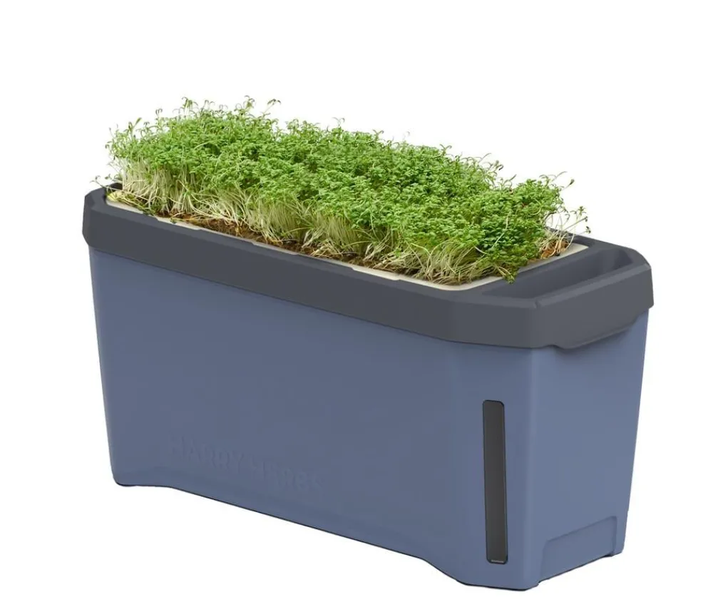 GUSTA GARDEN Kräutertopf Harry Herbs, ca. B36/H16/T15 cm Blau Best