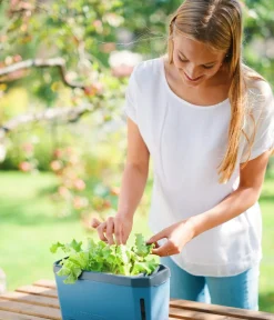 GUSTA GARDEN Kräutertopf Harry Herbs, ca. B36/H16/T15 cm Blau Best