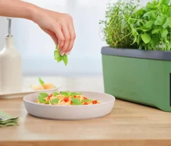 GUSTA GARDEN Kräutertopf Harry Herbs, ca. B36/H16/T15 cm Dunkelgrün Best