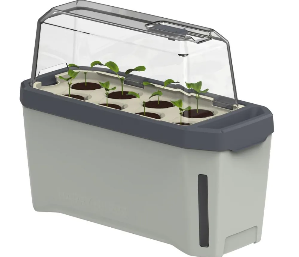 GUSTA GARDEN Hydrosysteme|Blumentöpfe & Übertöpfe - Kräutertopf Harry Herbs mit Anzuchthaube, ca. B36/H25/T15 cm Hellgrau