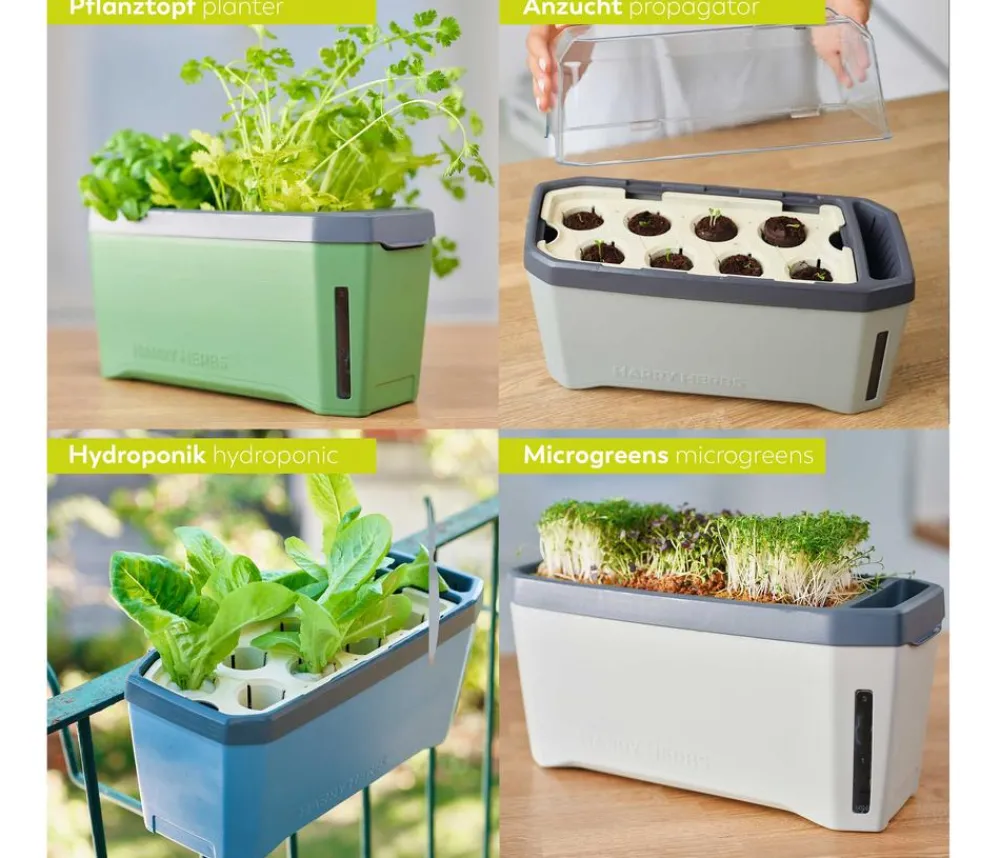 GUSTA GARDEN Hydrosysteme|Blumentöpfe & Übertöpfe - Kräutertopf Harry Herbs mit Anzuchthaube, ca. B36/H25/T15 cm Hellgrau